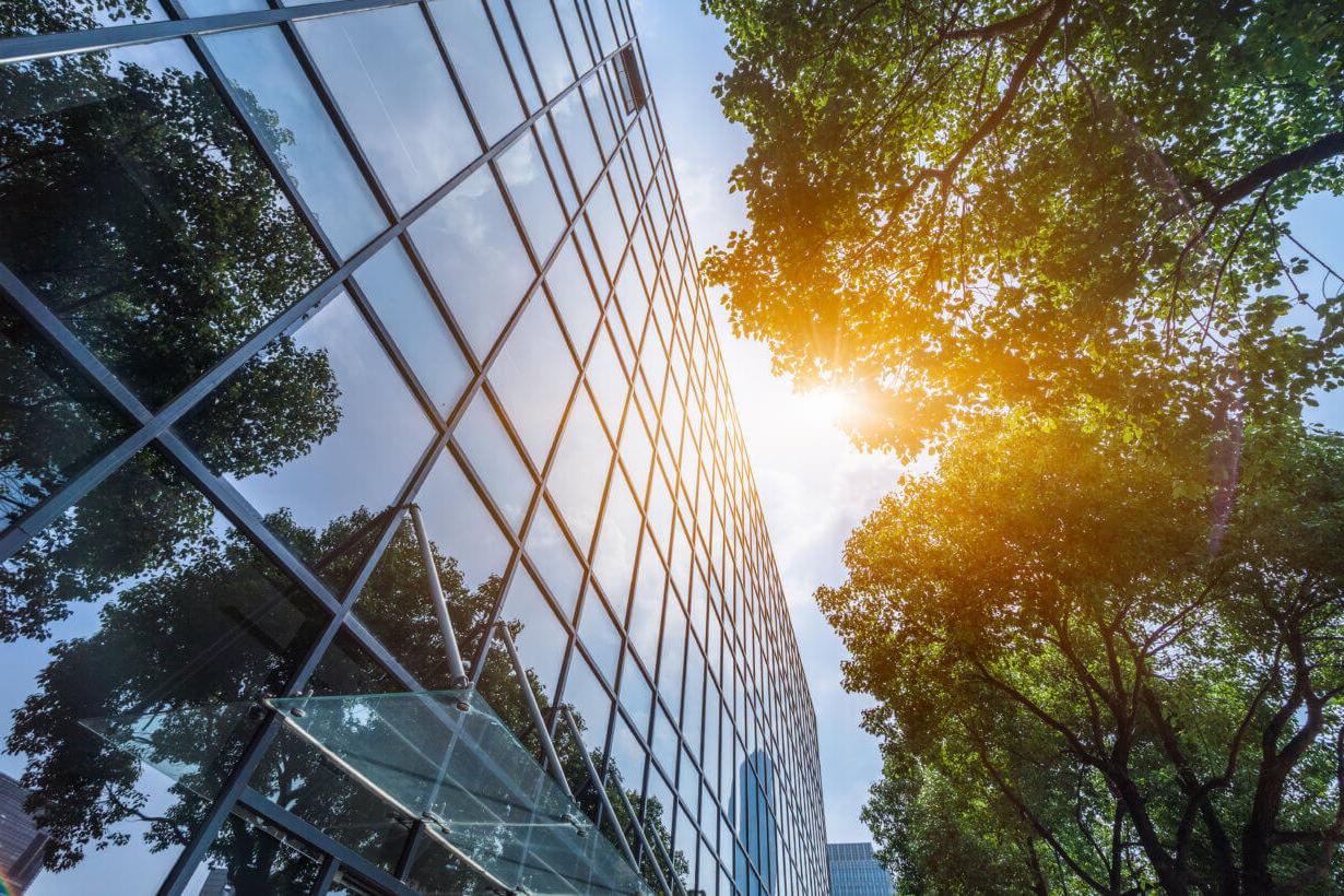 Glass office building seen from the outside, with sunshine and trees next to it